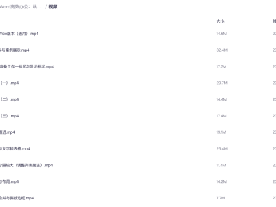 Word高效办公：从小白到精通
