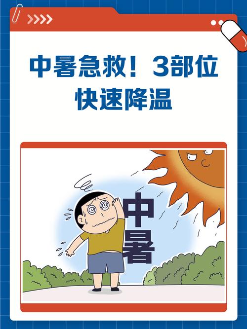 少年得到&陈志《一秒打开就能照做的急救指南》